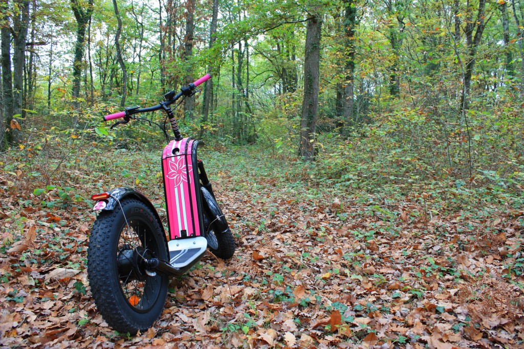 Trottinette électrique pour randonnée