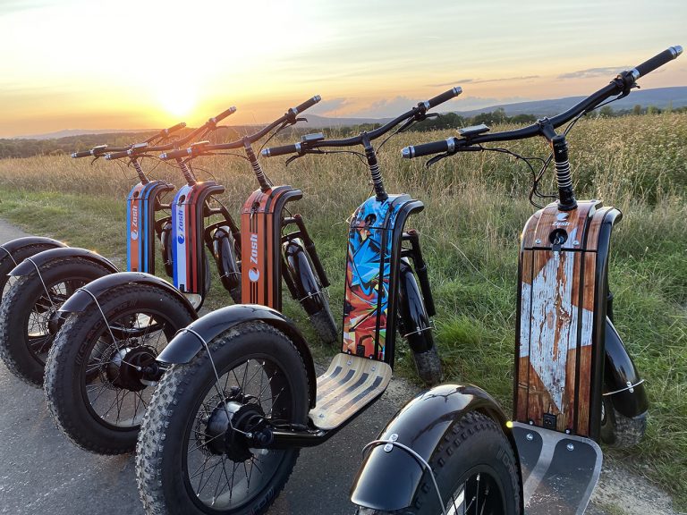 Trottinette électrique tout terrain ou vélo électrique : lequel choisir ?