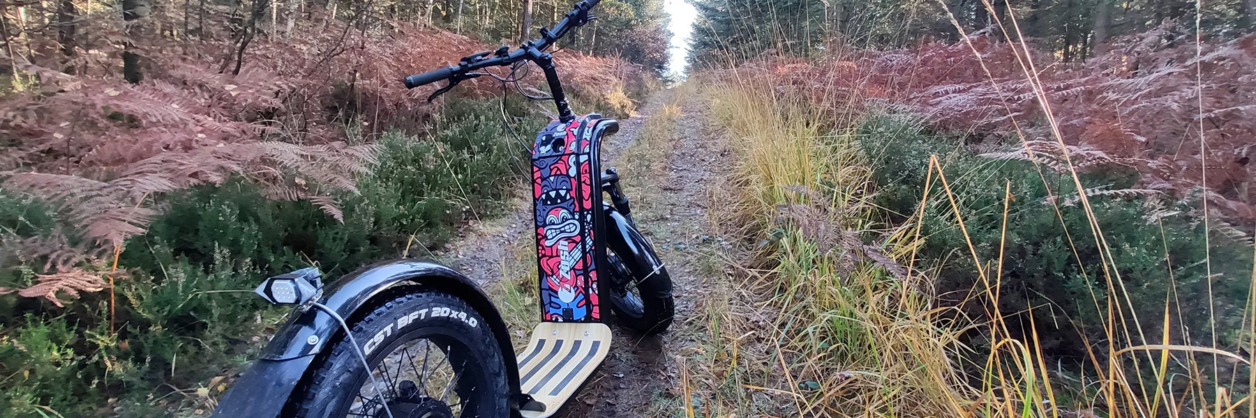 E scoot et trottinette de descente électrique