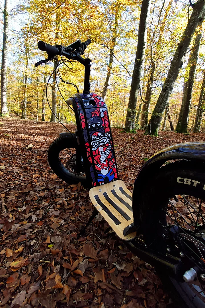 Pourquoi Zosh est la marque à choisir pour sa trottinette électrique ?