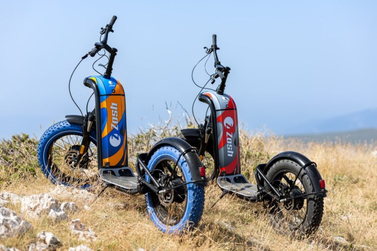 Trottinette électrique tout-terrain, e-scooter Zosh