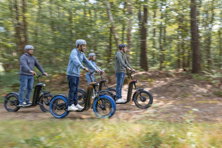 Pour les loueurs de trottinettes, loueurs de vélos électriques et professionnels du tourisme souhaitant  étoffer leur offre et augmenter leur revenus.