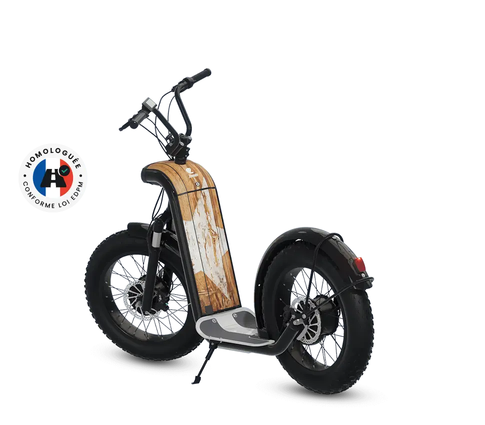 ZOSH Trottinette tout-terrain